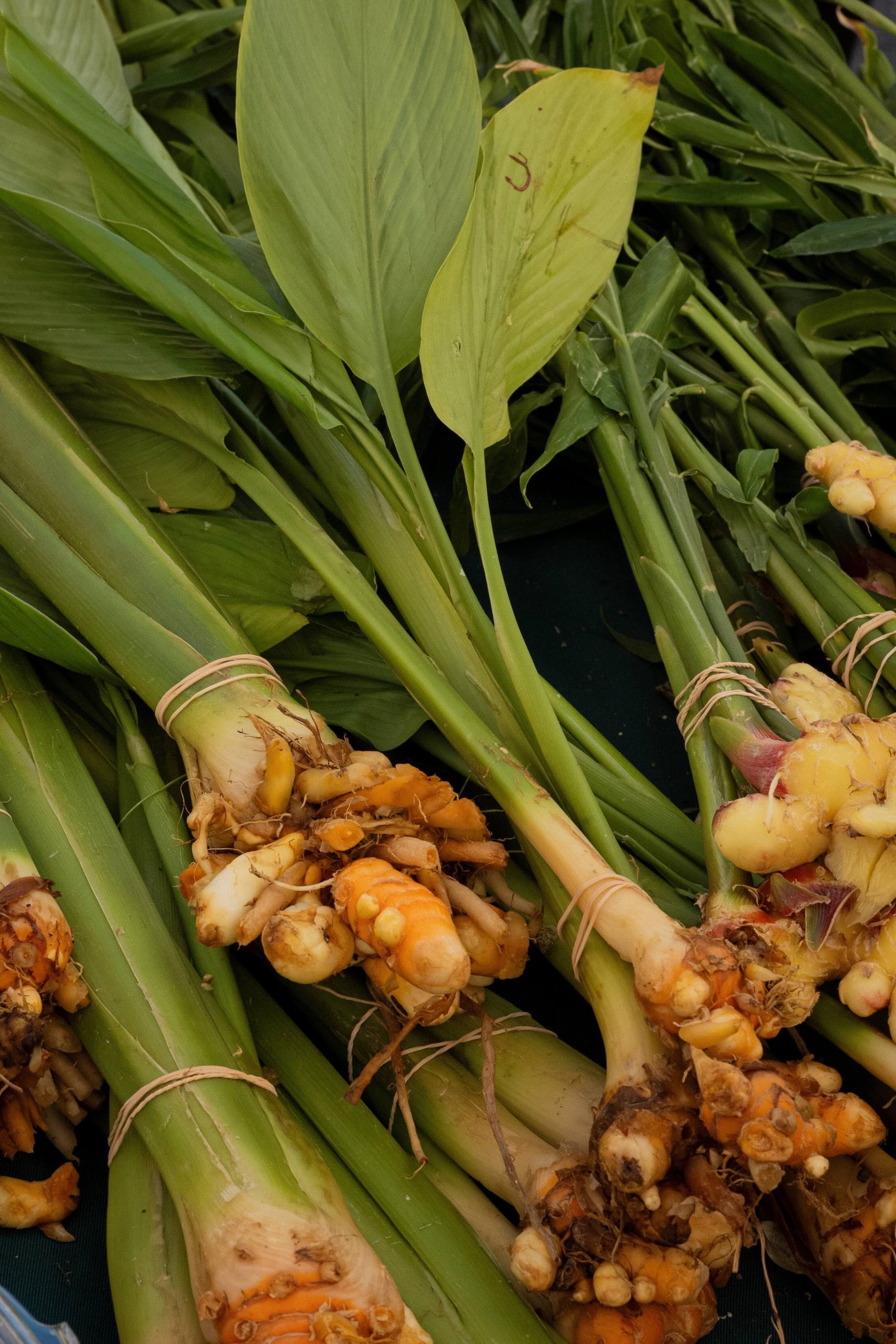 Vegetables at the market