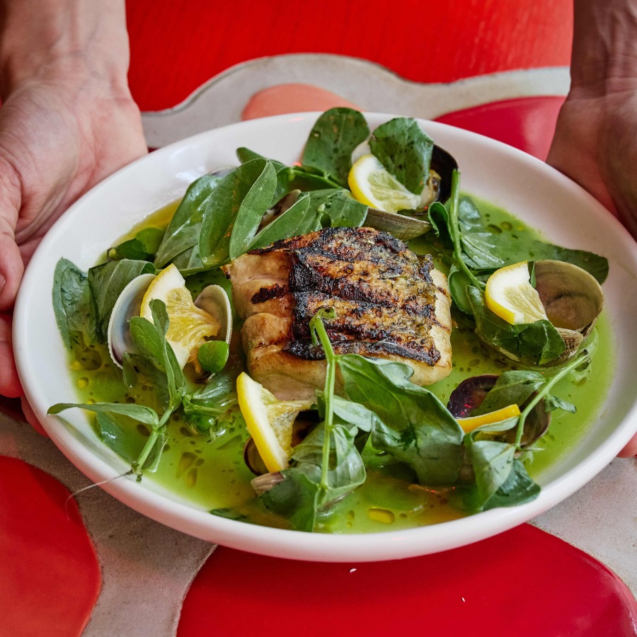 Manuela lunch dish with greens being served on a red table