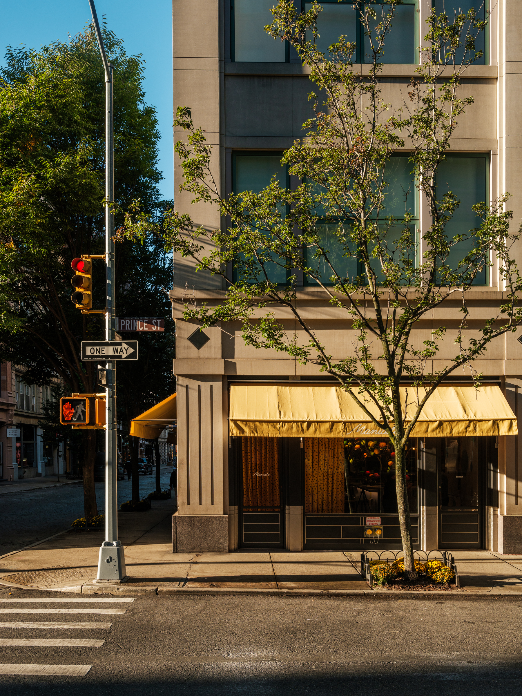The outside of Manuela restaurant with blue skies and trees