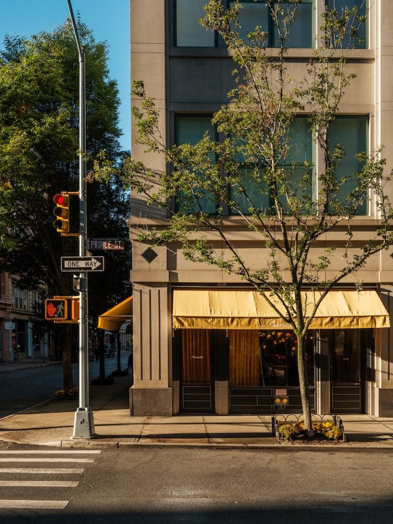 The outside of Manuela restaurant with blue skies and trees.