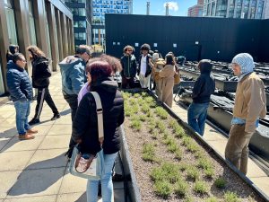 Students visiting the Project EATS rooftop garden