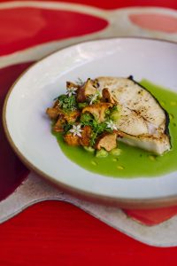 Broiled Maine halibut, green garlic sauce, chanterelles, fava beans*