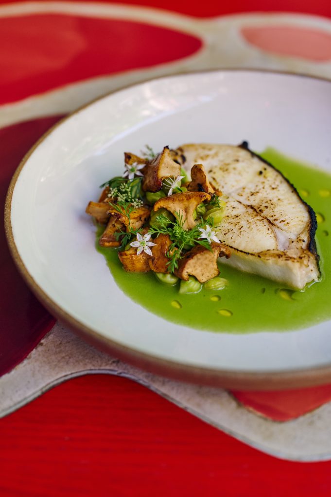 Broiled Maine halibut, green garlic sauce, chanterelles, fava beans*