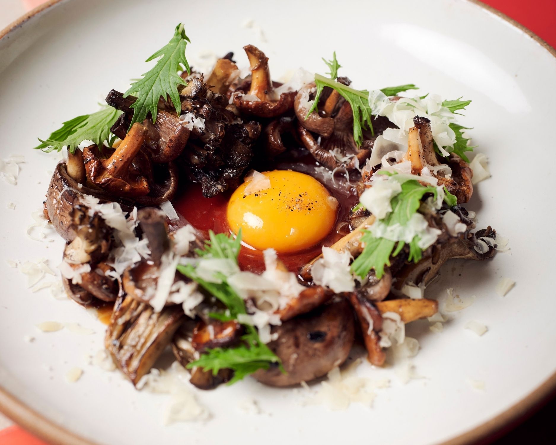 Roasted mushrooms around a glistening egg yolk, topped with shaved cheese and fresh greens on a white plate.