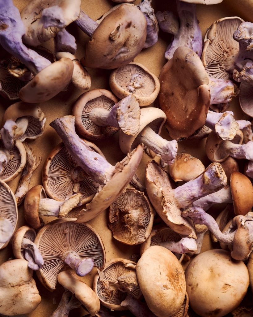 Close-up image of raw mushrooms.